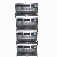 Четыре Брудер Б/Я Надежный-профи