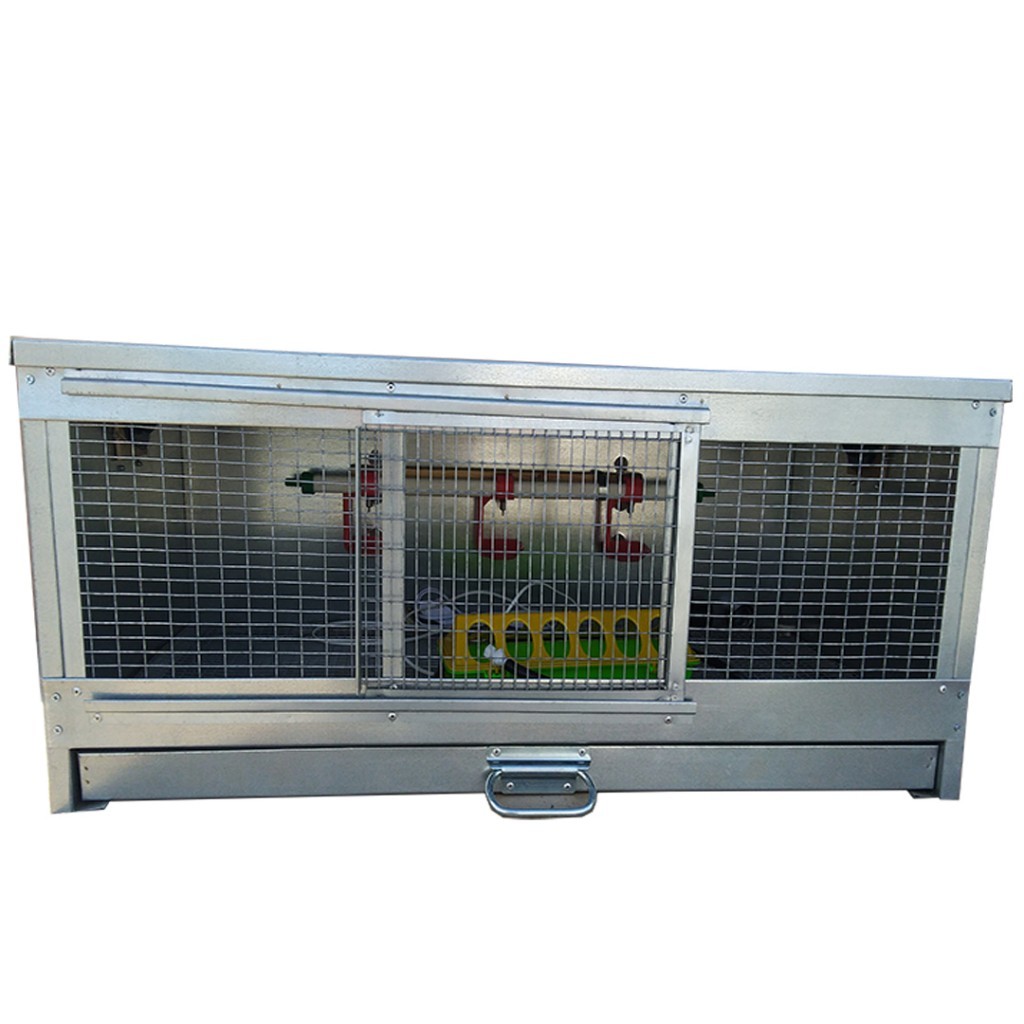 Брудер Стандарт-премиум