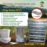 Готовая ферма для перепелов «Под Ключ» №2