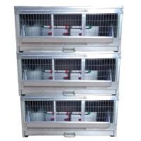 Три брудер Б/Я Стандарт-премиум