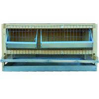 Клетка для перепелов "Мечта-Премиум 2-4"