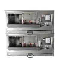 Два Брудер Б/Я Стандарт-профи