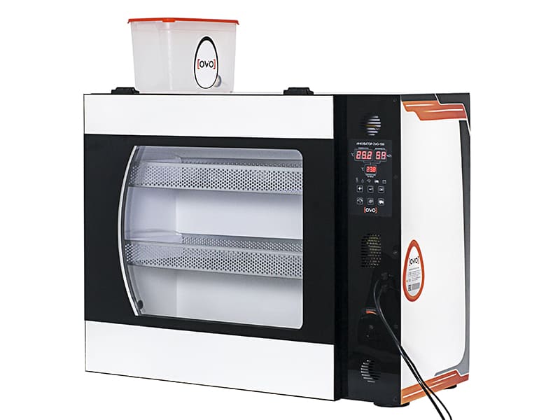 Инкубатор OVO 156