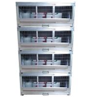 Четыре брудер Б/Я Стандарт-премиум