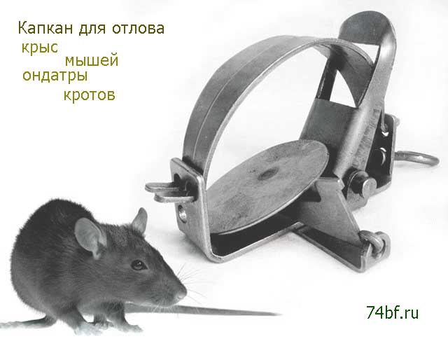 Капкан от крыс и мышей малый