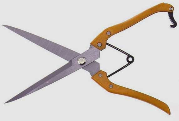 Ножницы для рыбы 30см оцинкованные