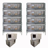 Восемь клеток для кроликов "Любимая-премиум-4м"