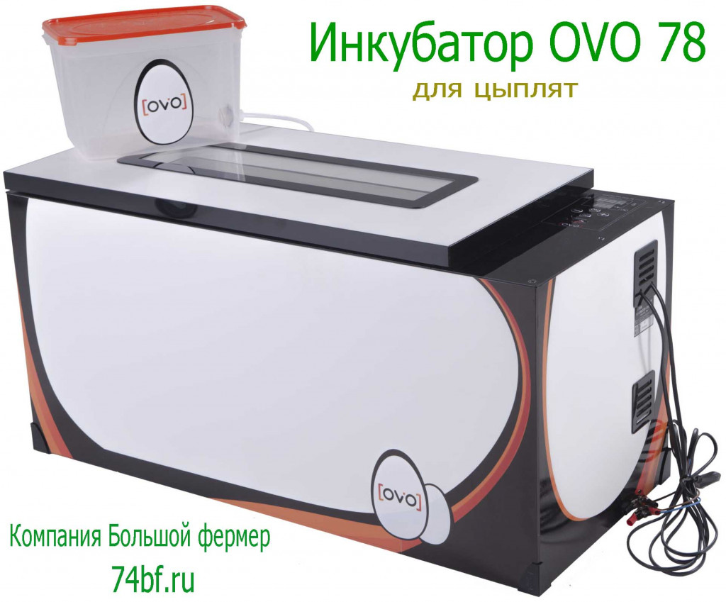 Инкубатор OVO 78 с перегородками