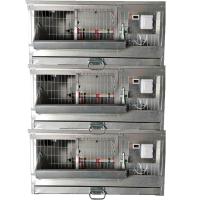 Три брудер Б/Я Стандарт-профи