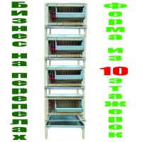 Ферма "Мини-профи" для перепелов