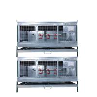 Два брудера Надежный-профи