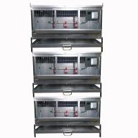 Три брудер Б/Я Надежный-профи