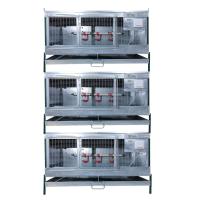 Три брудера Надежный-профи