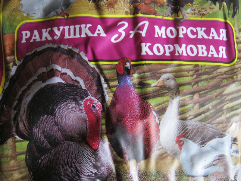 Ракушка морская кормовая 1кг для птицеводства