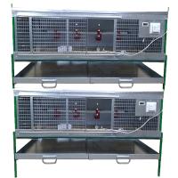 Фото брудер Любимый-профи