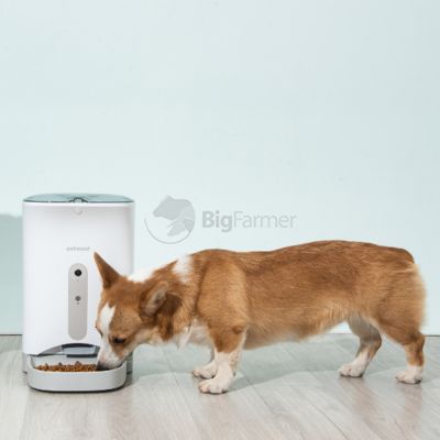 Автокормушка 4,3 л для сухого корма с видеокамерой, Wi-Fi (IOS/Android), серая