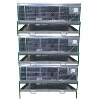 Фото брудер Любимый-профи