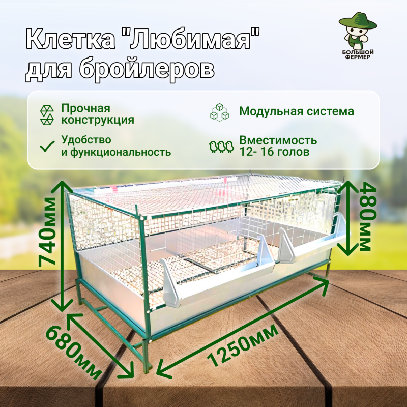 Клетки для несушек и бройлеров. Считаем прибыль, а не головы.