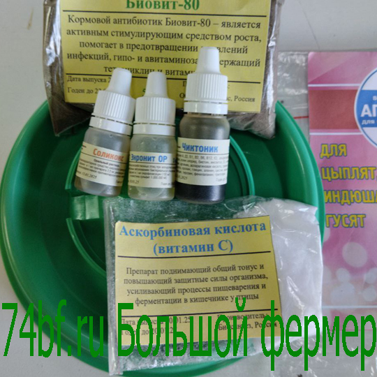 Набор для выпойки птенцов