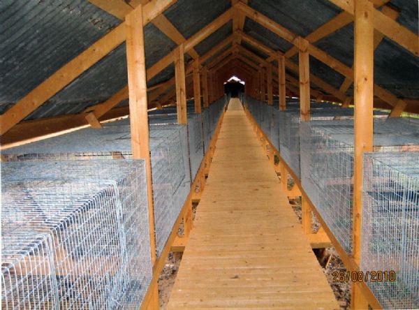 Клетка песца (Лиса) на 4 места