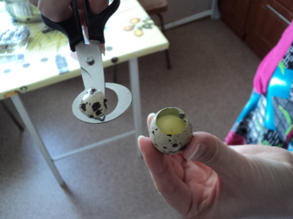 Ножницы вскрытия яиц 74bf-НПЯ