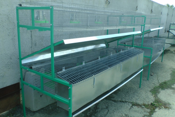 Клетка для кролиководства КМОП-2