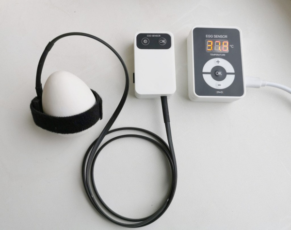 Датчик температуры яйца "EGG SENSOR"