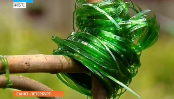 Бутылкорез