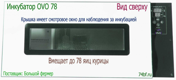 Инкубатор OVO 78 для инкубации яйца