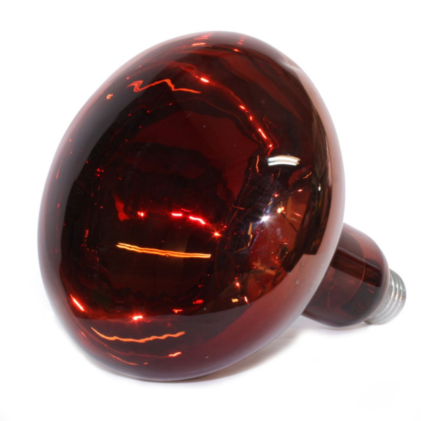 Инфракрасная лампа 74bf-250 оптом