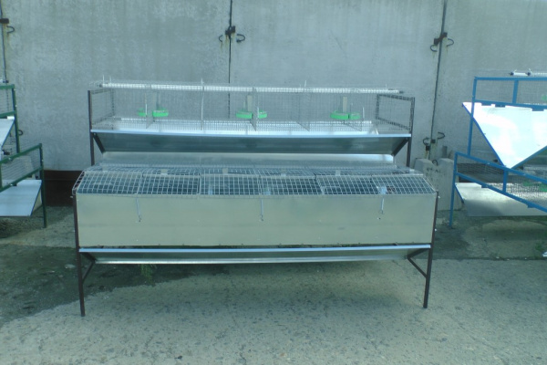 Клетка для кролиководства КМ-2Ф