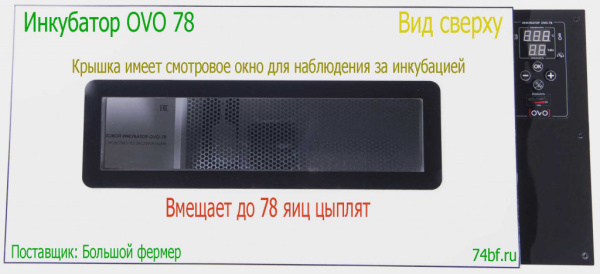 фото Инкубатор OVO 78 с перегородками
