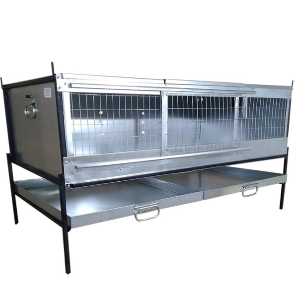 Брудер Б/Я-Любимый-стандарт