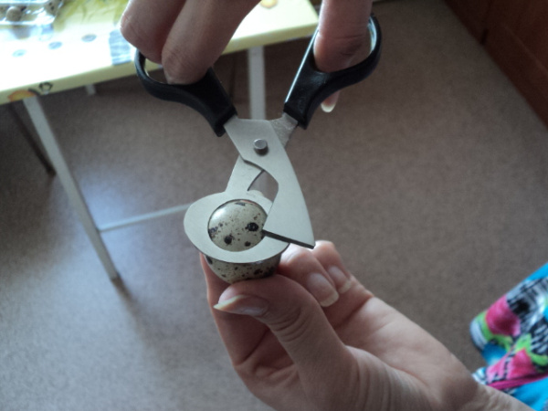 Ножницы вскрытия яиц 74bf-НПЯ