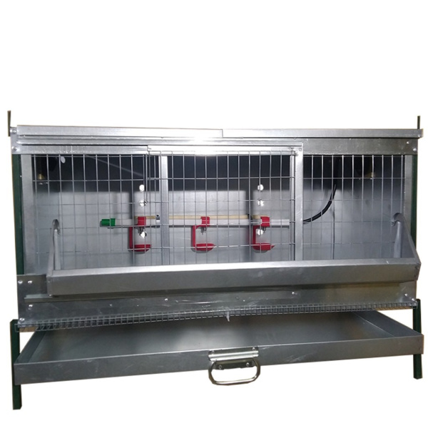 Брудер Б/Я Надежный-премиум