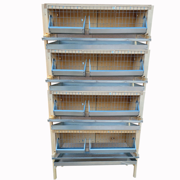 Фото клетка "Мечта-Премиум 1" для перепелов