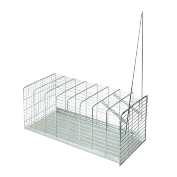 Живоловка 40см