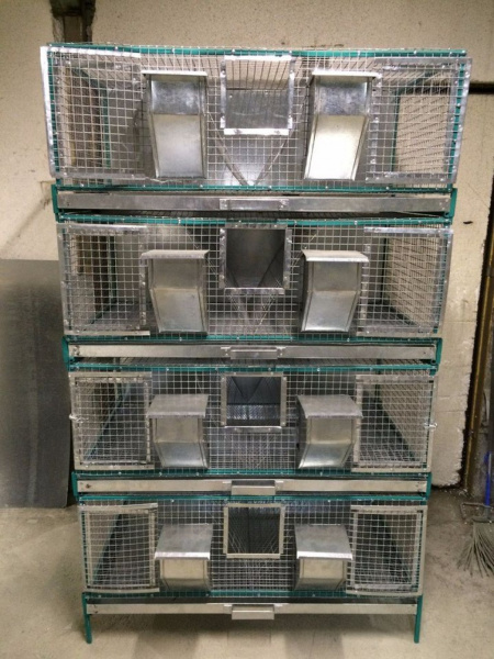 Клетка "Любимая-этажерка" для лабораторных кроликов