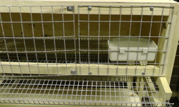 Навесная кормушка "Удача" для птицеводства