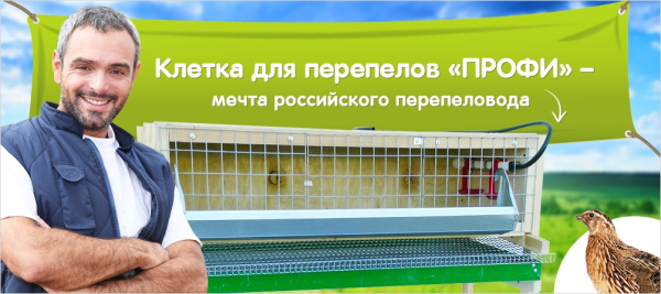 Клетка для перепелов "Мечта-Профи 1"