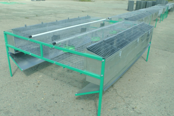 Клетка "КМ1-кроль-стандарт" для кролиководства