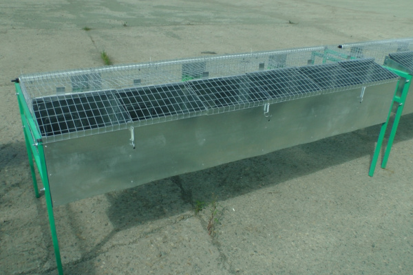 Клетка "КМ-6С-стандарт" для промышленного кролиководства