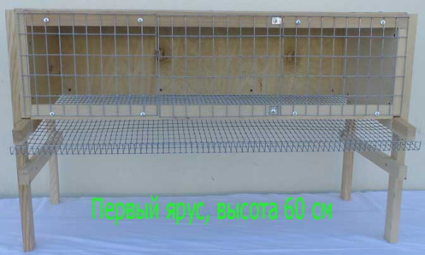 фото клетка "Мечта-Эконом 1" для перепелов