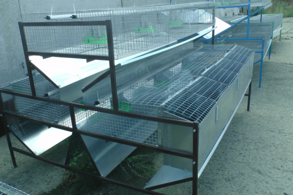 Клетка для кролиководства КМ-2Ф