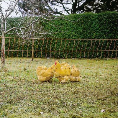 Сеть к электропастуху для птицы, 112 см / 50 м