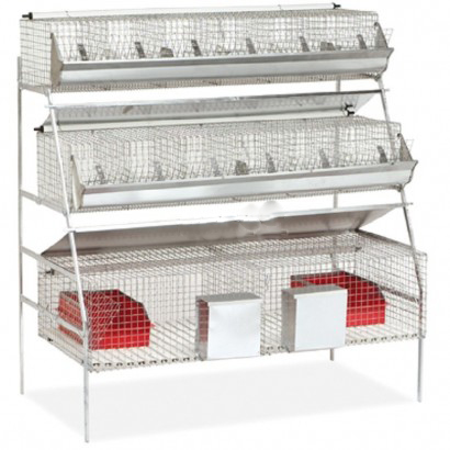 Клетка для кроликов КО/КМ-5*2/3