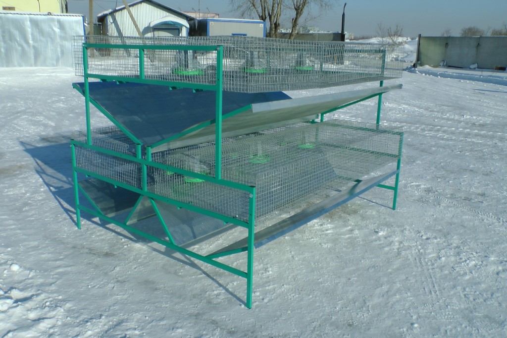 Клетка для кролиководства КО-2Ф