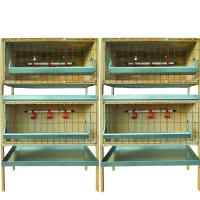 Ферма для бройлеров Нежность Профи-2/2