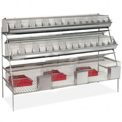 Клетка для кроликов КО/КМ-8*2/3