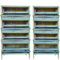 Ферма "Мечта-профи" для перепелов